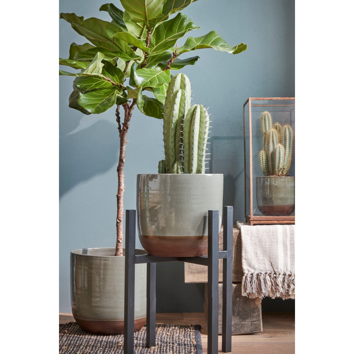 Glimmerdekorationen – Ascot Pflanzenständer XL – L34 x B34 x H50 cm – Metall – Schwarz