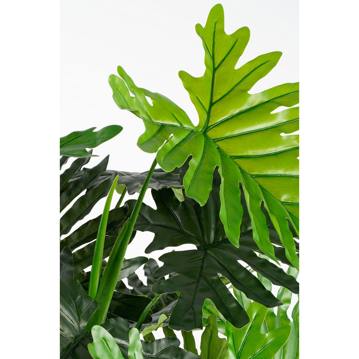 Glimmerdekorationen – Kunstpflanze Philodendron – H120 x Ø80 cm – Grün