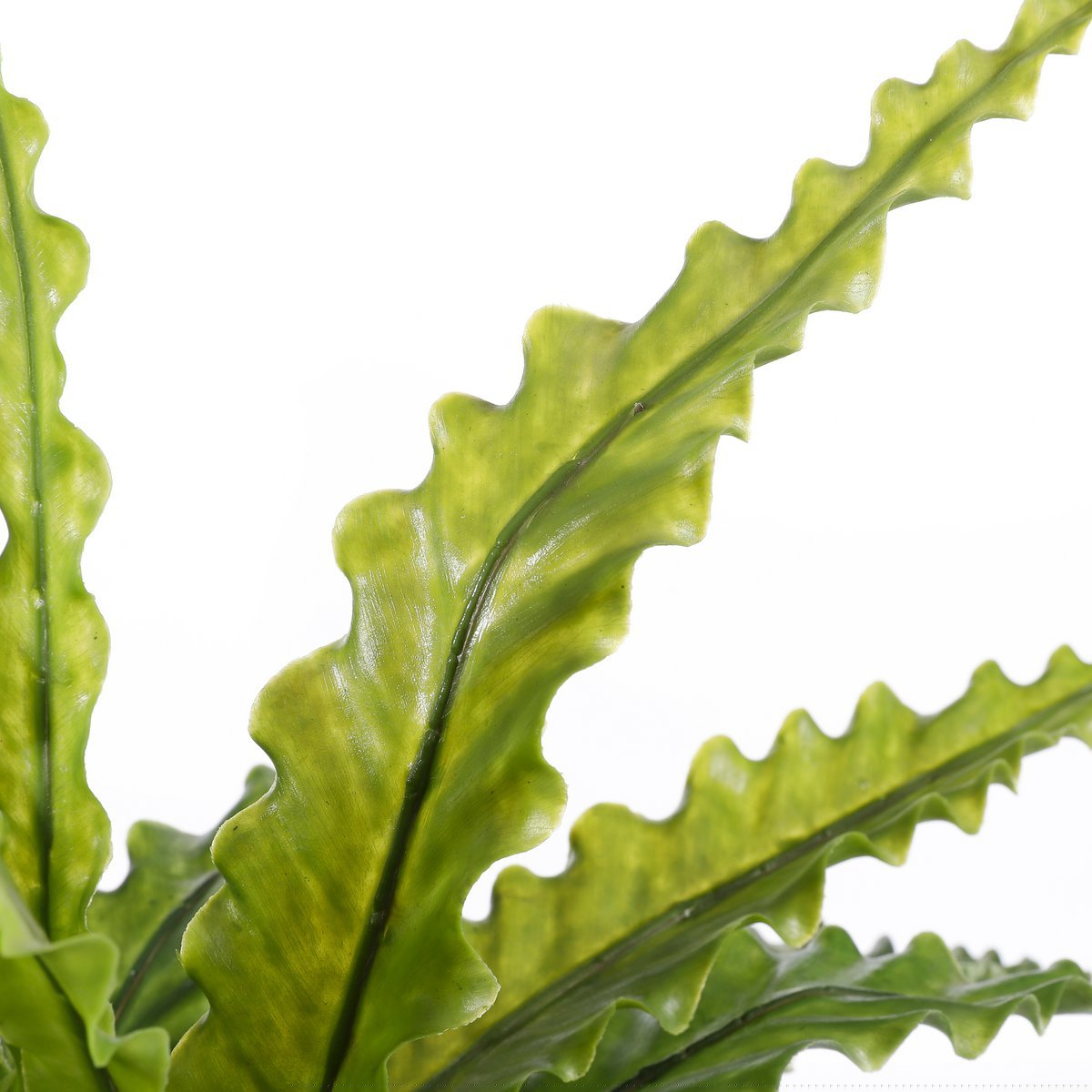 Mica Decorations - Asplenium Kunstplant in Bloempot Stan - H54 x Ø66 cm - Groen
