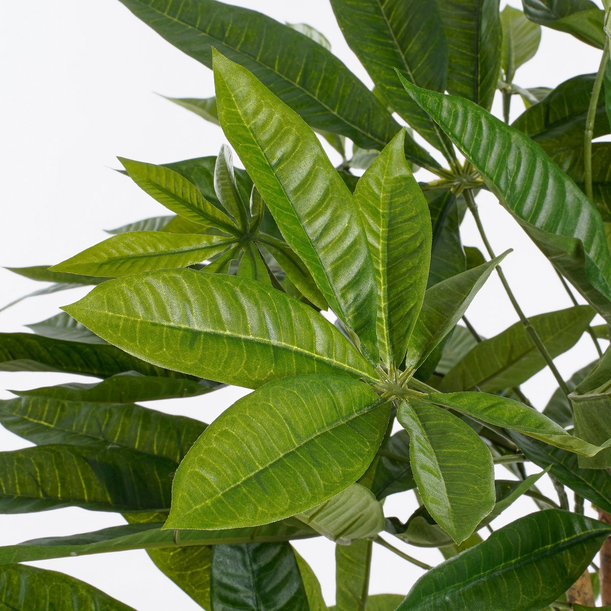 Glimmerdekorationen – Kunstpflanze Pachira – H120 x Ø50 cm – Grün