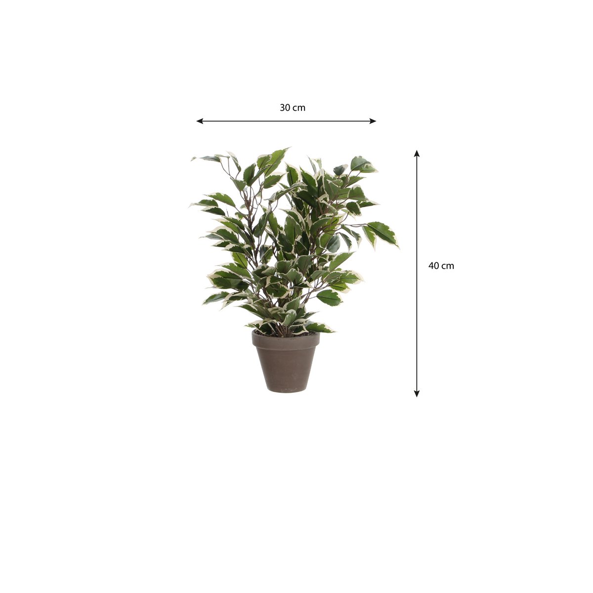 Mica Decorations - Ficus Natasja Kunstplant in Bloempot Stan - H40 x Ø30 cm - Groen Bont
