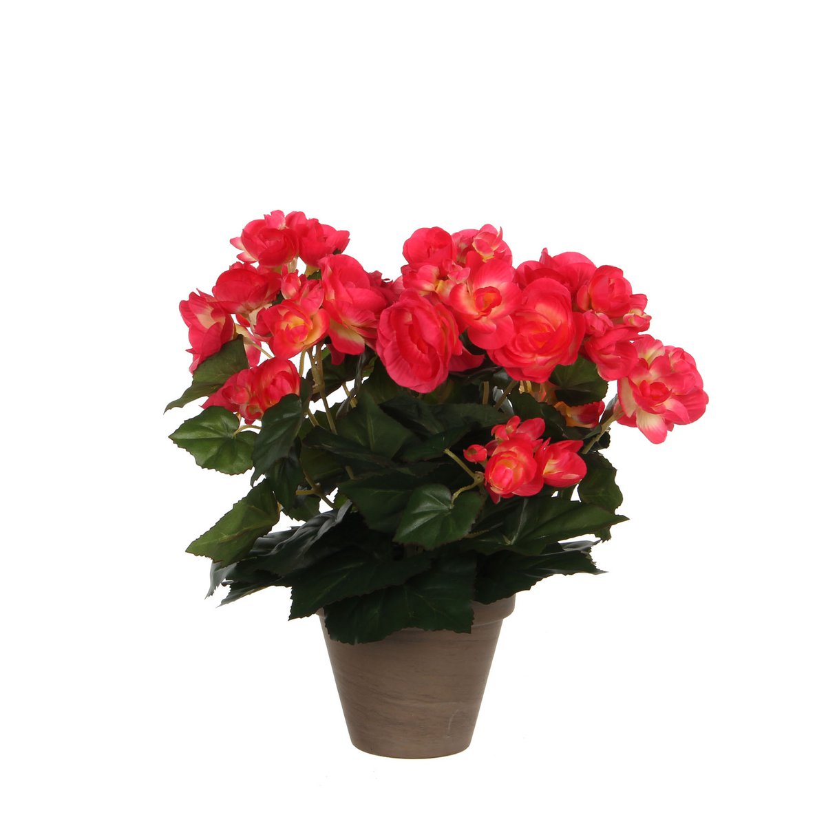 Glimmerdekorationen – Künstliche Begonienpflanze im Blumentopf – H30 x Ø25 cm – Dunkelrosa