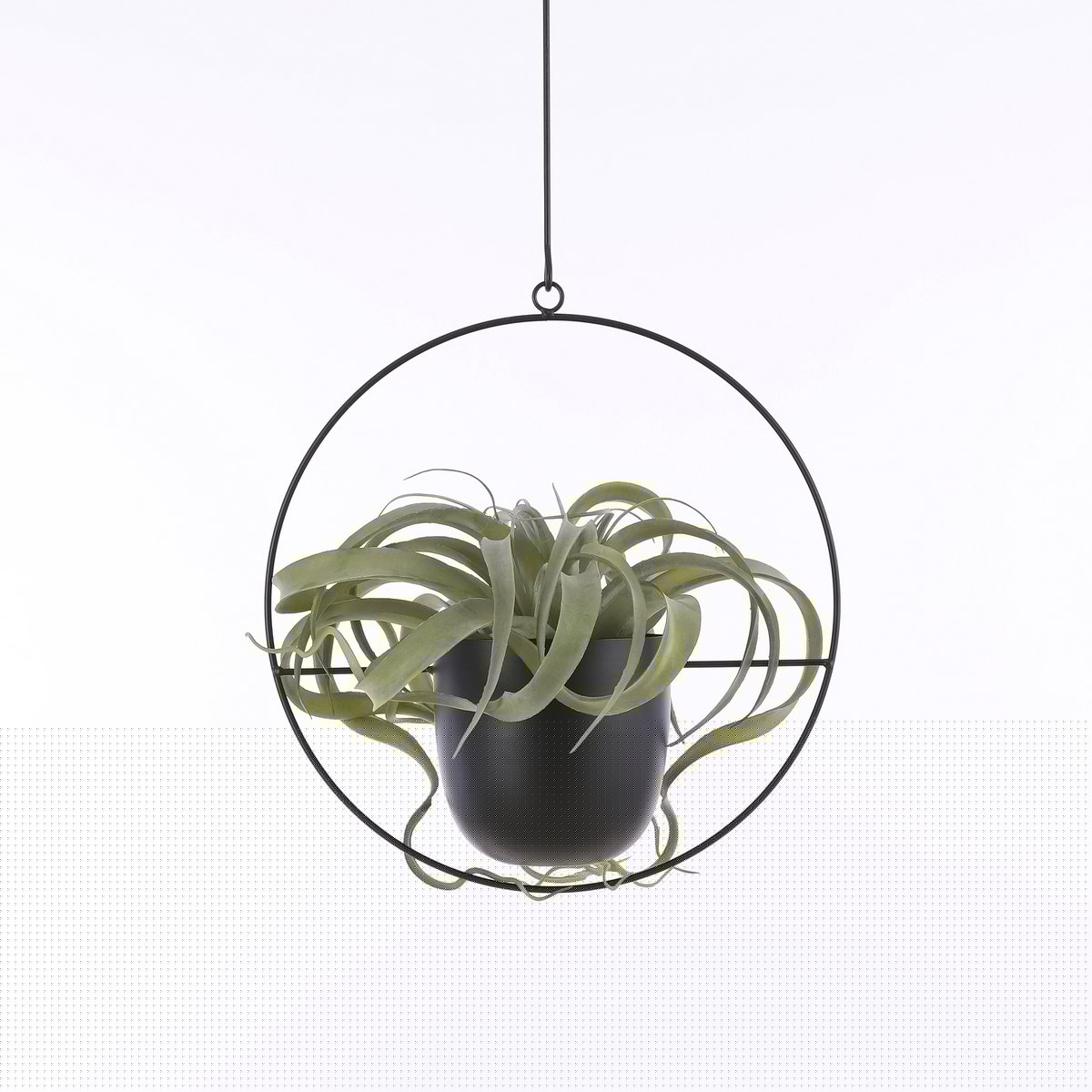 Mica Decorations - Dexter bloempot Hangend - L34 x B14 x H65 cm - Zwart