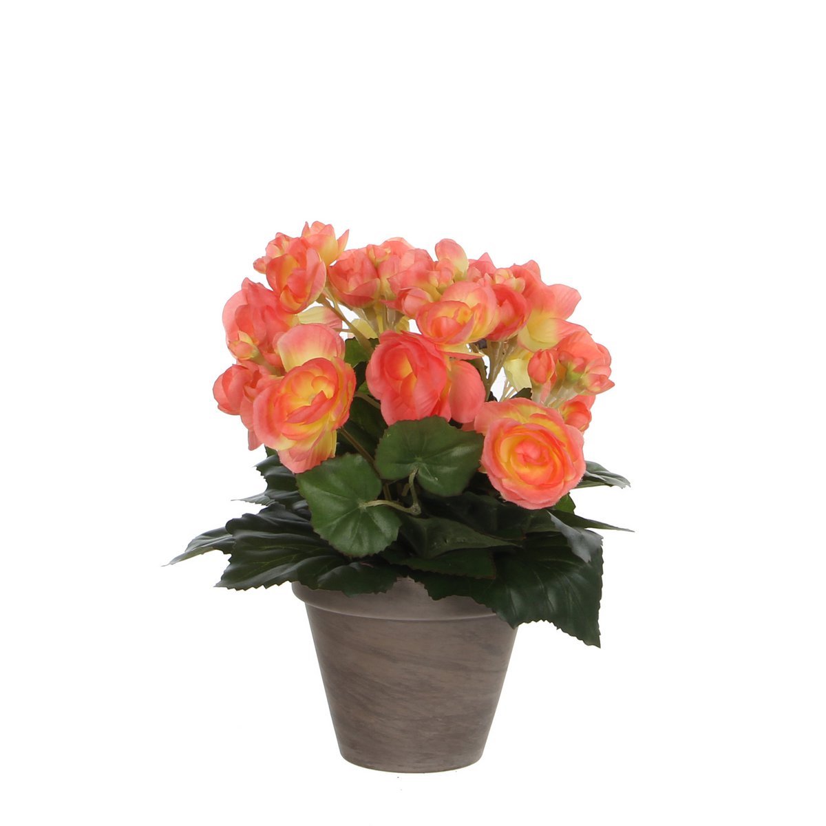 Glimmerdekorationen – Künstliche Begonienpflanze im Blumentopf Stan – H30 x Ø25 cm – Lachsrosa