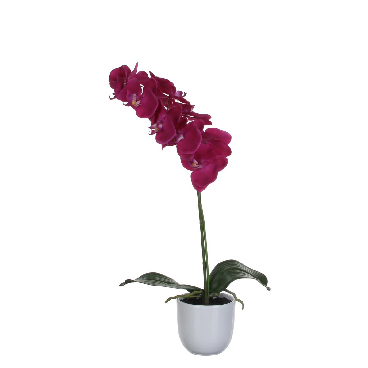 Glimmerdekorationen – Künstliche Phalaenopsis-Pflanze im Blumentopf Tusca – H60 x Ø16 cm – Lila