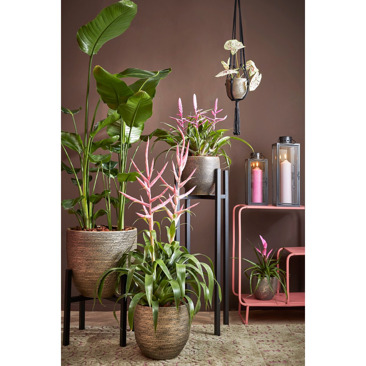 Glimmerdekorationen – Ascot Pflanzenständer XL – L46 x B46 x H40 cm – Metall – Schwarz