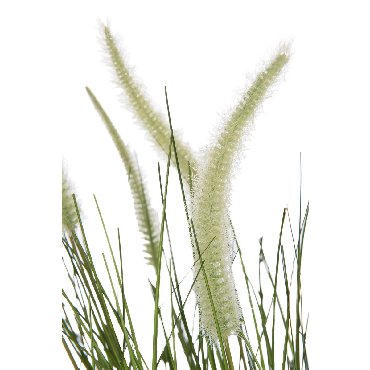 J-Line - Gräser+Schwänze im Topf, Metall, grün, Kunststoff, grün, groß