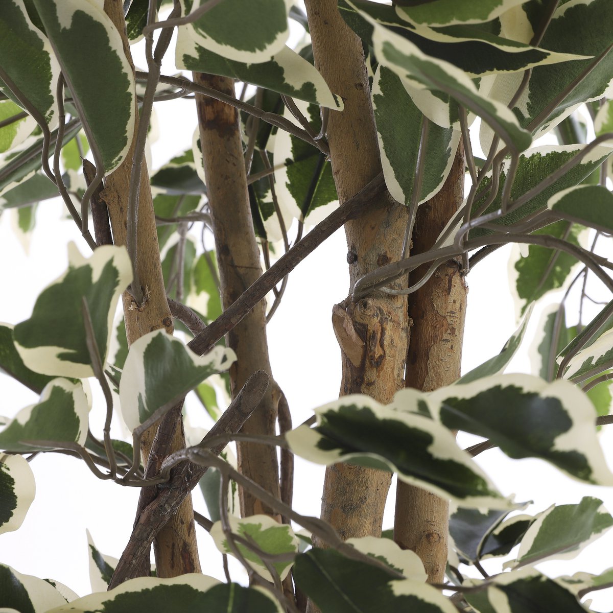 Mica Decorations - Ficus Kunstplant - H110 x Ø70 cm - Groen Bont