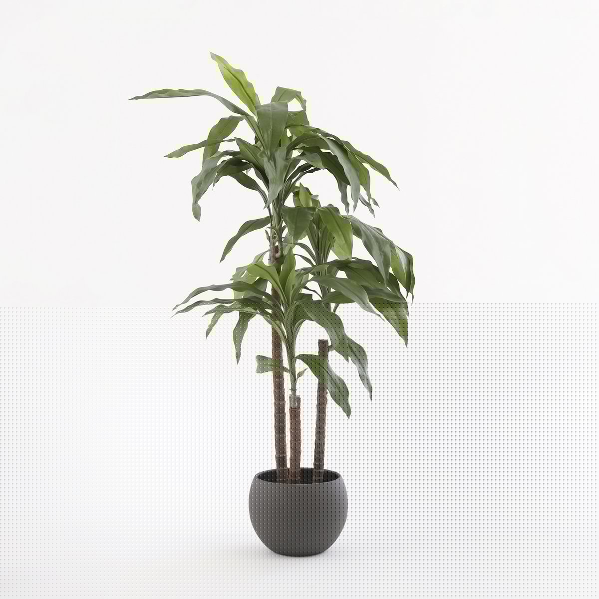 Glimmerdekorationen – Künstliche Dracaena-Pflanze – H100 x Ø70 cm