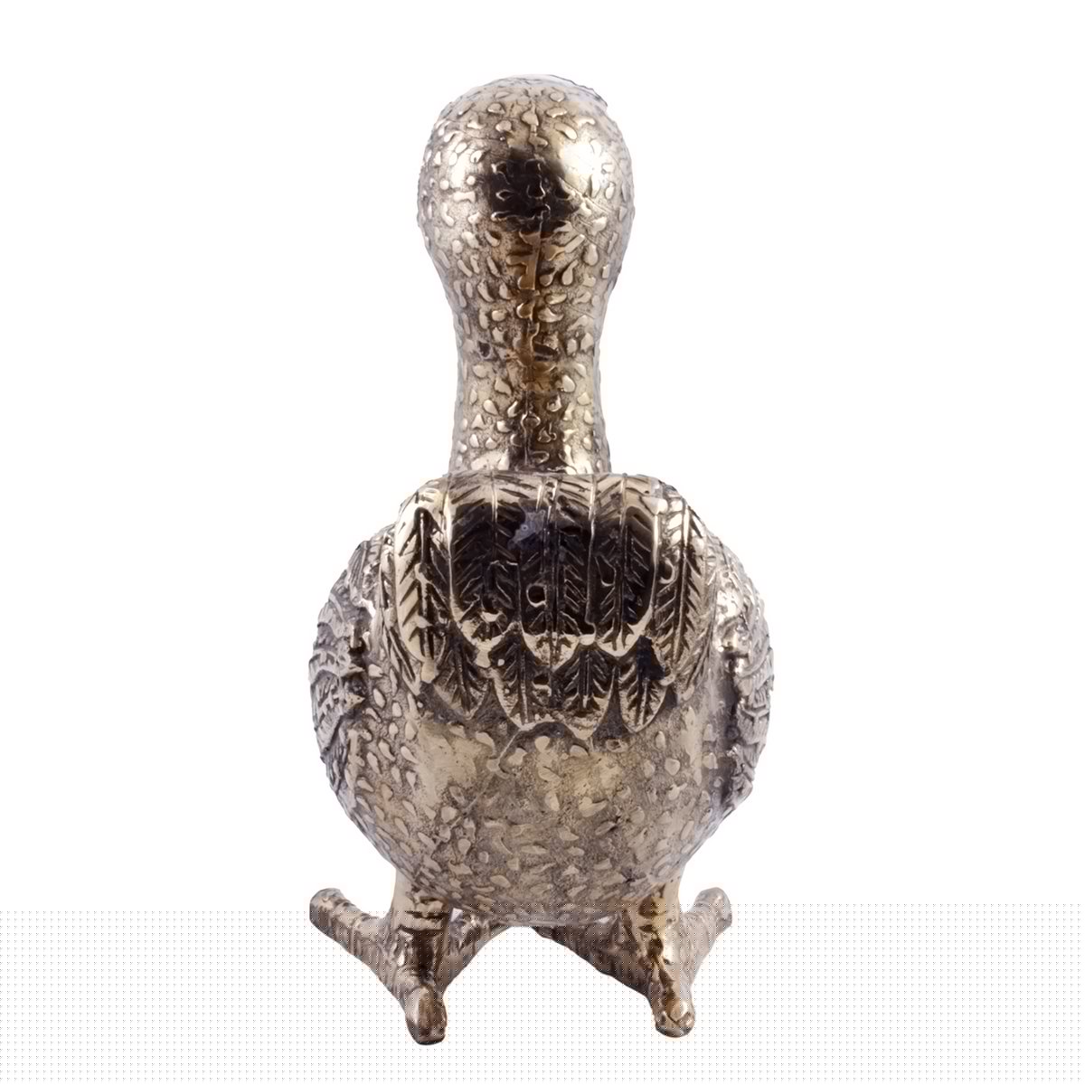 Pole to Pole - Messing Dodo S