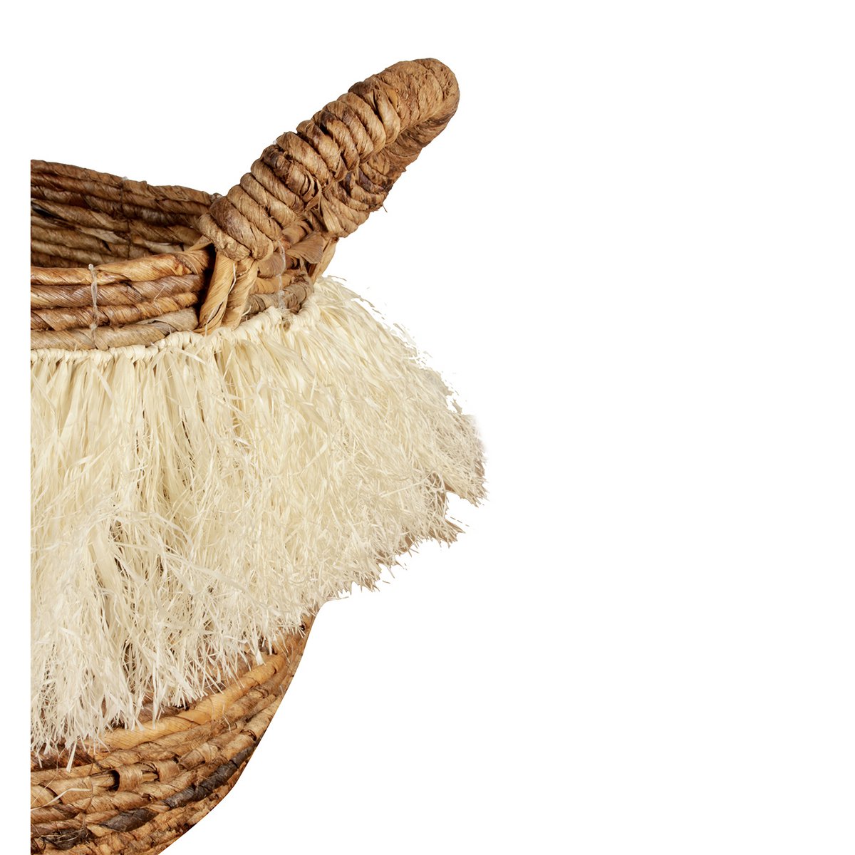 Pol zu Pol - Plukmand L