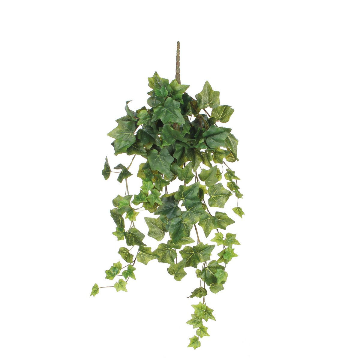 Glimmerdekorationen – Künstliche Hängepflanze Hedera – H71 cm – Grün