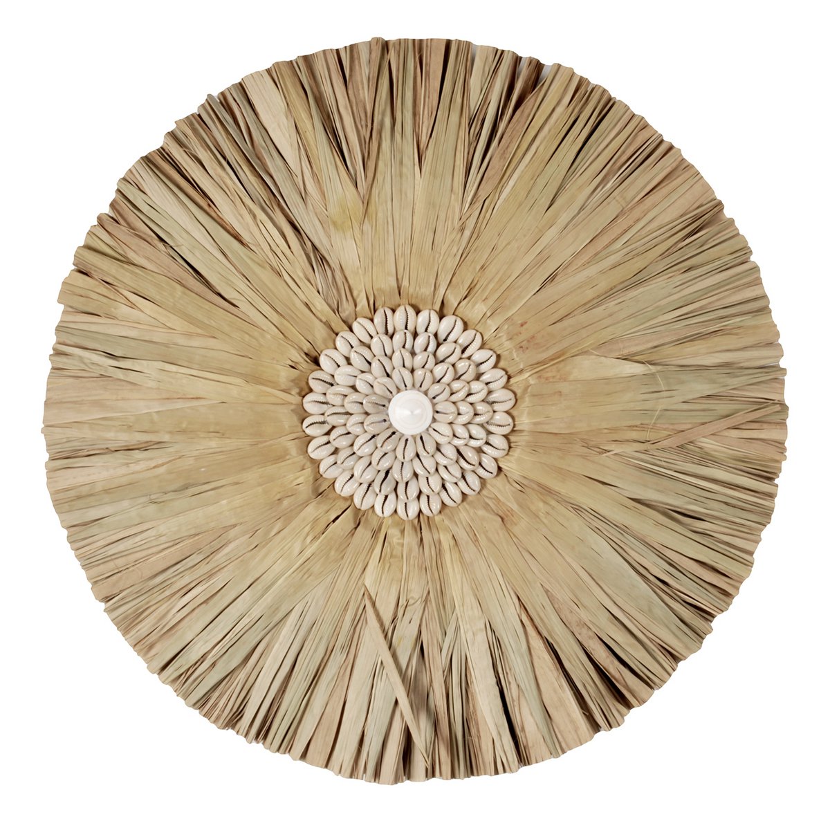 Pole to Pole - Juju Rasta