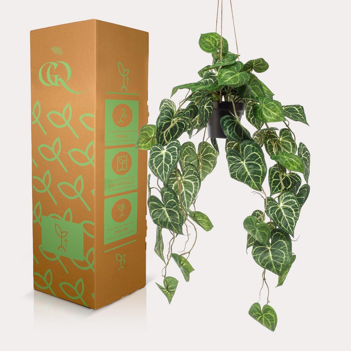 Green BoutiQ - Kunstplant - Anthurium Clarinervium - Aderplant - 80 cm