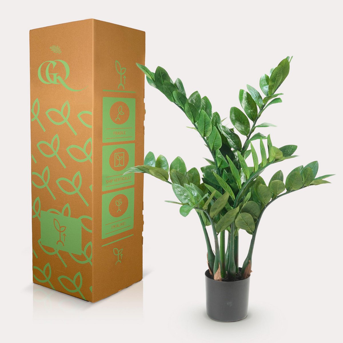 Green BoutiQ - Kunstplant - Zamioculcas - Kamerpalm - 70 cm