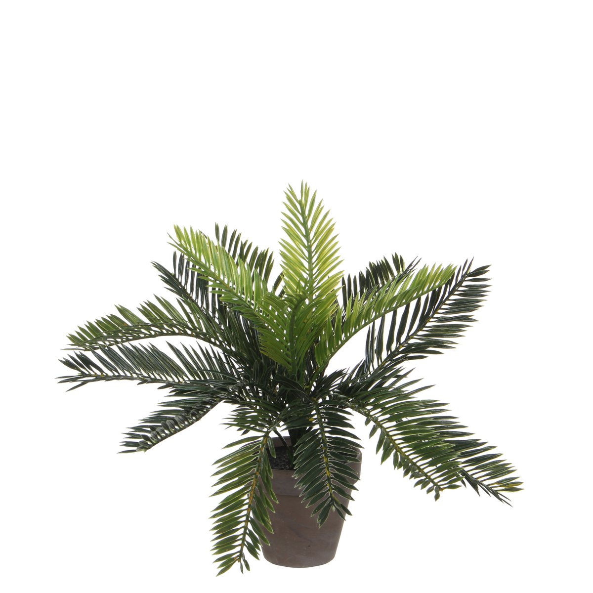 Glimmerdekorationen – Künstliche Cycas-Palme im Blumentopf – H33 x Ø34 cm – Grün