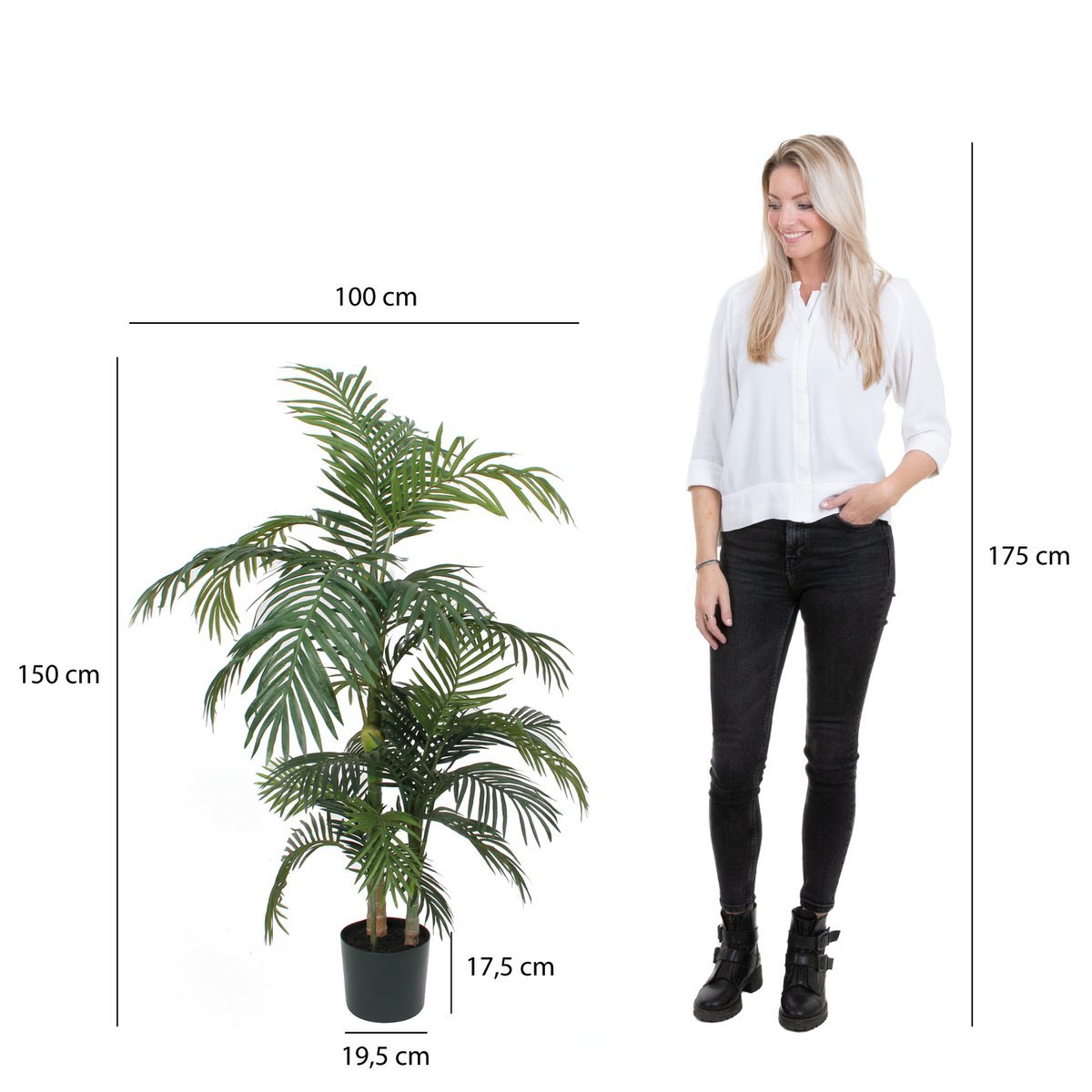 Glimmerdekorationen - Areca-Palme Kunstpflanze - H150 x Ø100 cm - grün