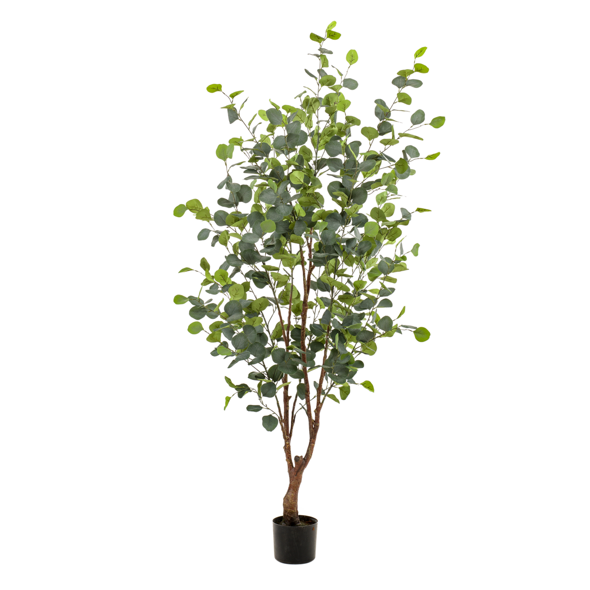 Green BoutiQ - Kunstplant - Eucalyptus - Blauwe Gomboom - 140 cm
