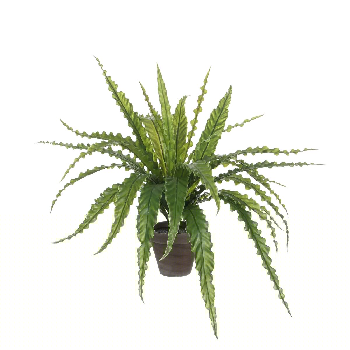 Mica Decorations - Asplenium Kunstplant in Bloempot Stan - H54 x Ø66 cm - Groen