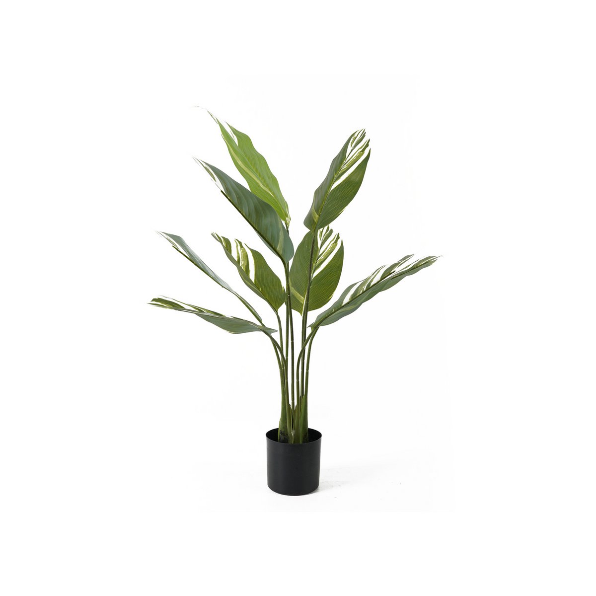Presen Time - Kunstplant Calathea