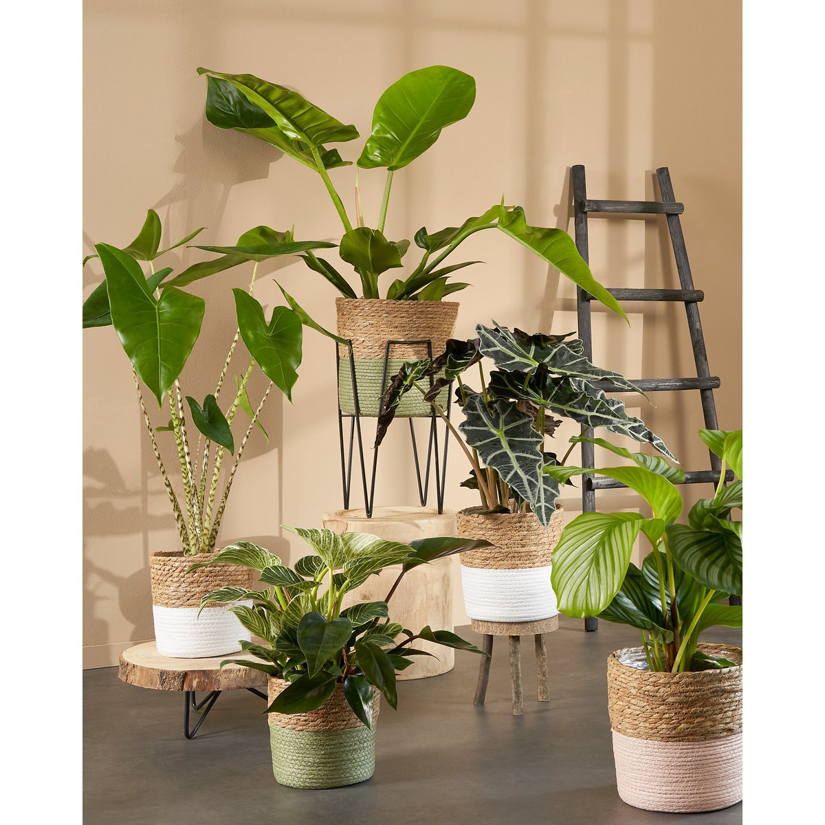 Mica Decorations - Pia Boomstam Bijzettafel - H14 x Ø29 cm - Lichtbruin