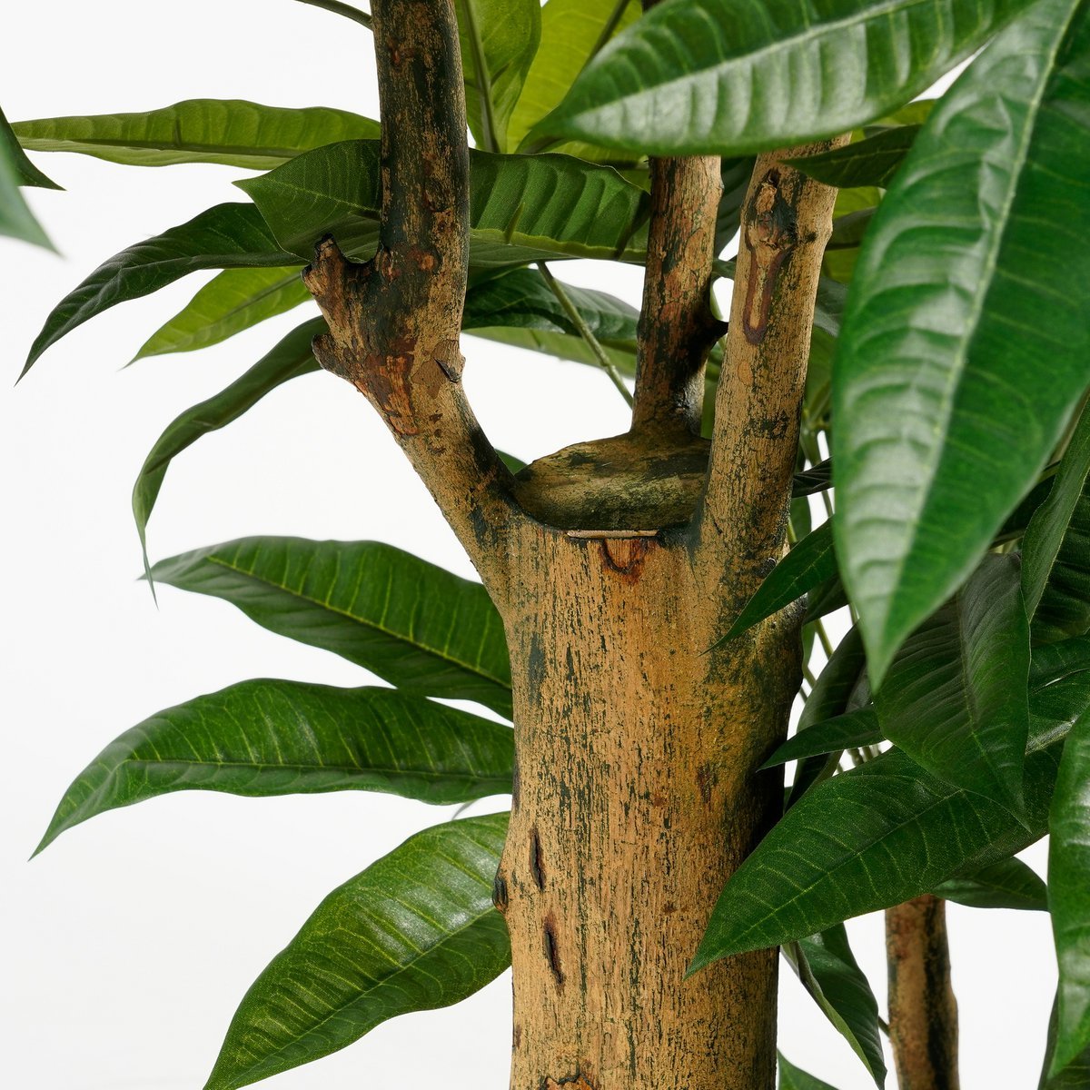 Glimmerdekorationen – Künstliche Pflanze Pachira – H175 x Ø85 cm – Grün