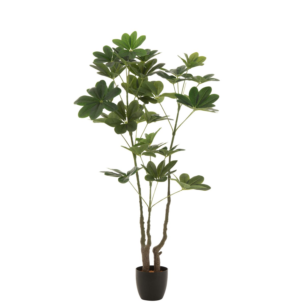 J-Line - Geldbaum im Topf, Kunststoff, Grün, groß