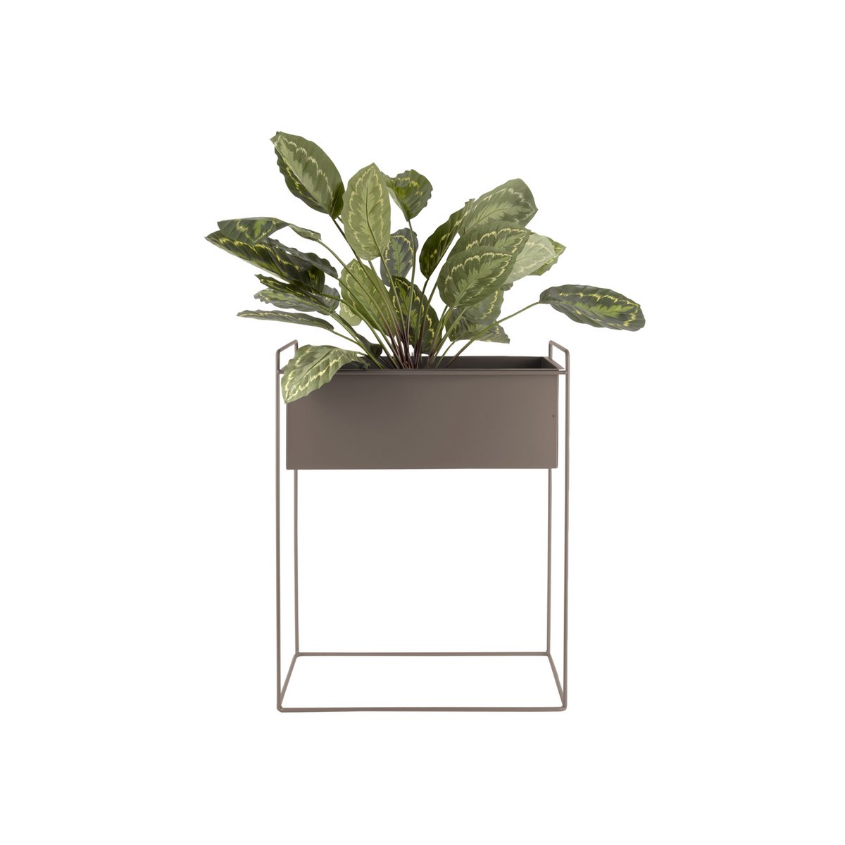 Present Time - Pflanztopf-Set Essence Straight