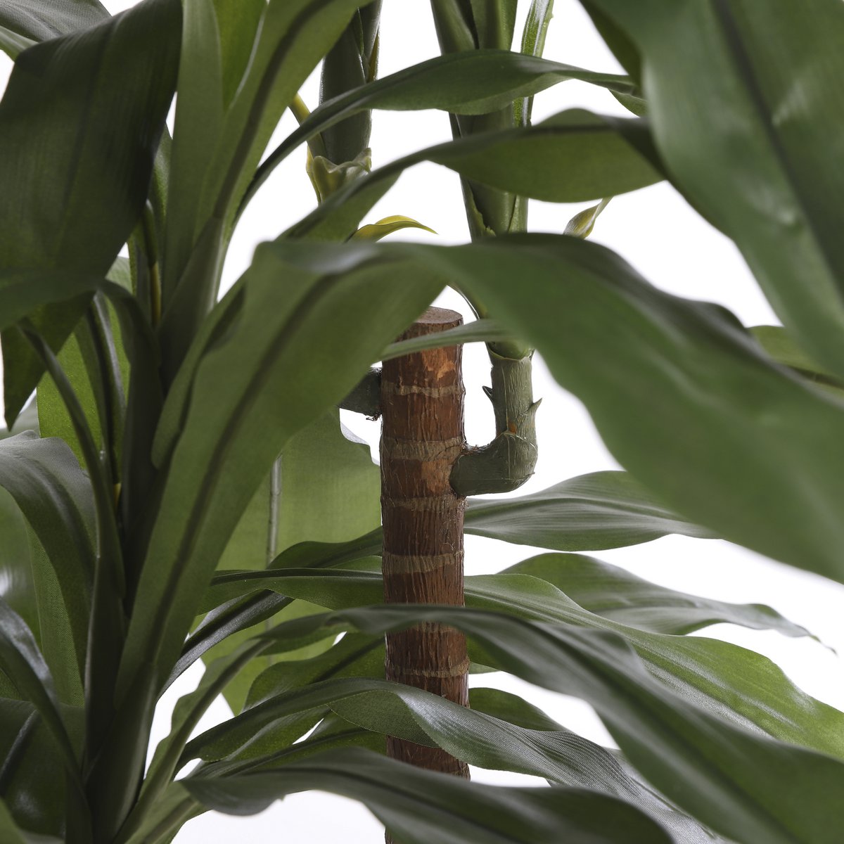 Glimmerdekorationen – Künstliche Dracaena-Pflanze – H100 x Ø70 cm