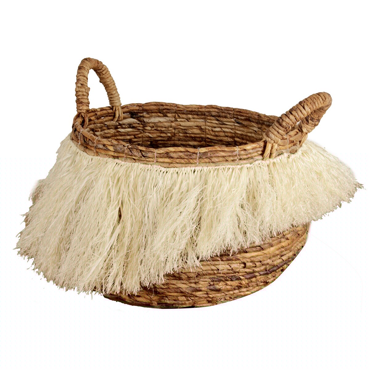 Pol zu Pol - Plukmand L