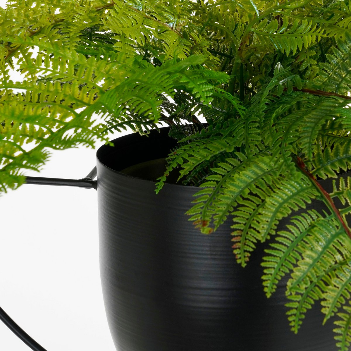 Mica Dekorationen – Dexter Blumentopf Wand – L34 x B14 x H34 cm – Schwarz