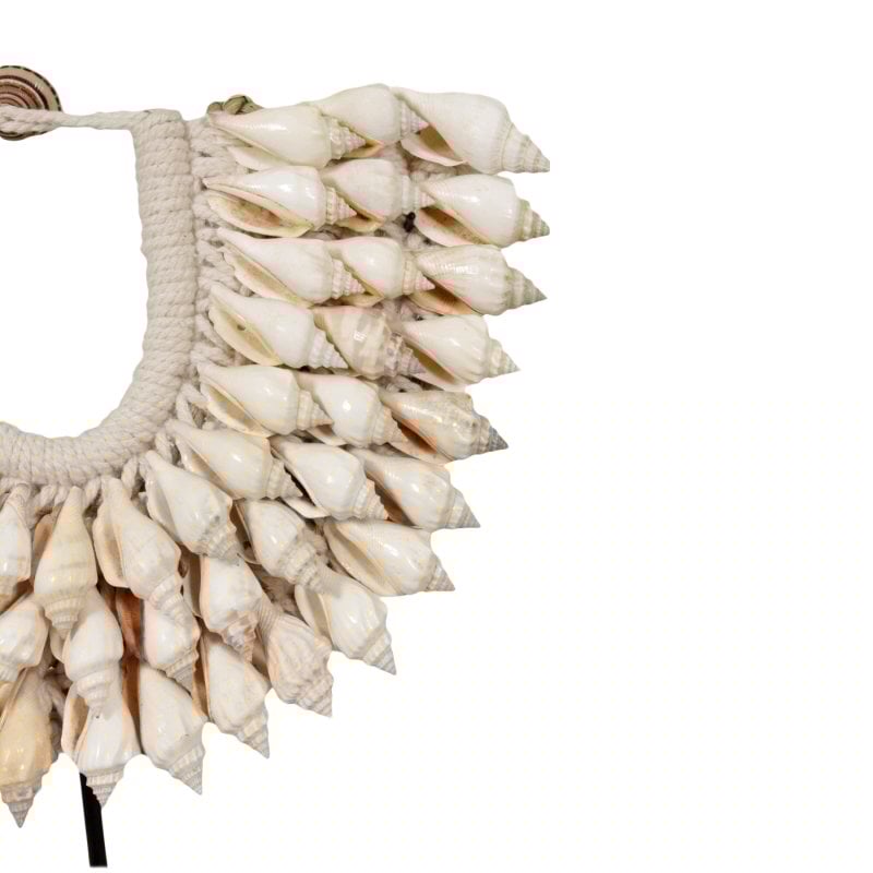 Pole to Pole – G7 kleine Muschelkette