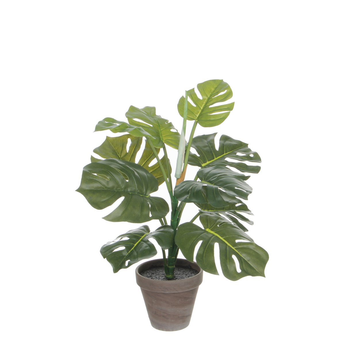Glimmerdekorationen – Künstliche Monstera-Pflanze im Blumentopf Stan – H48 x Ø39 cm – Grün