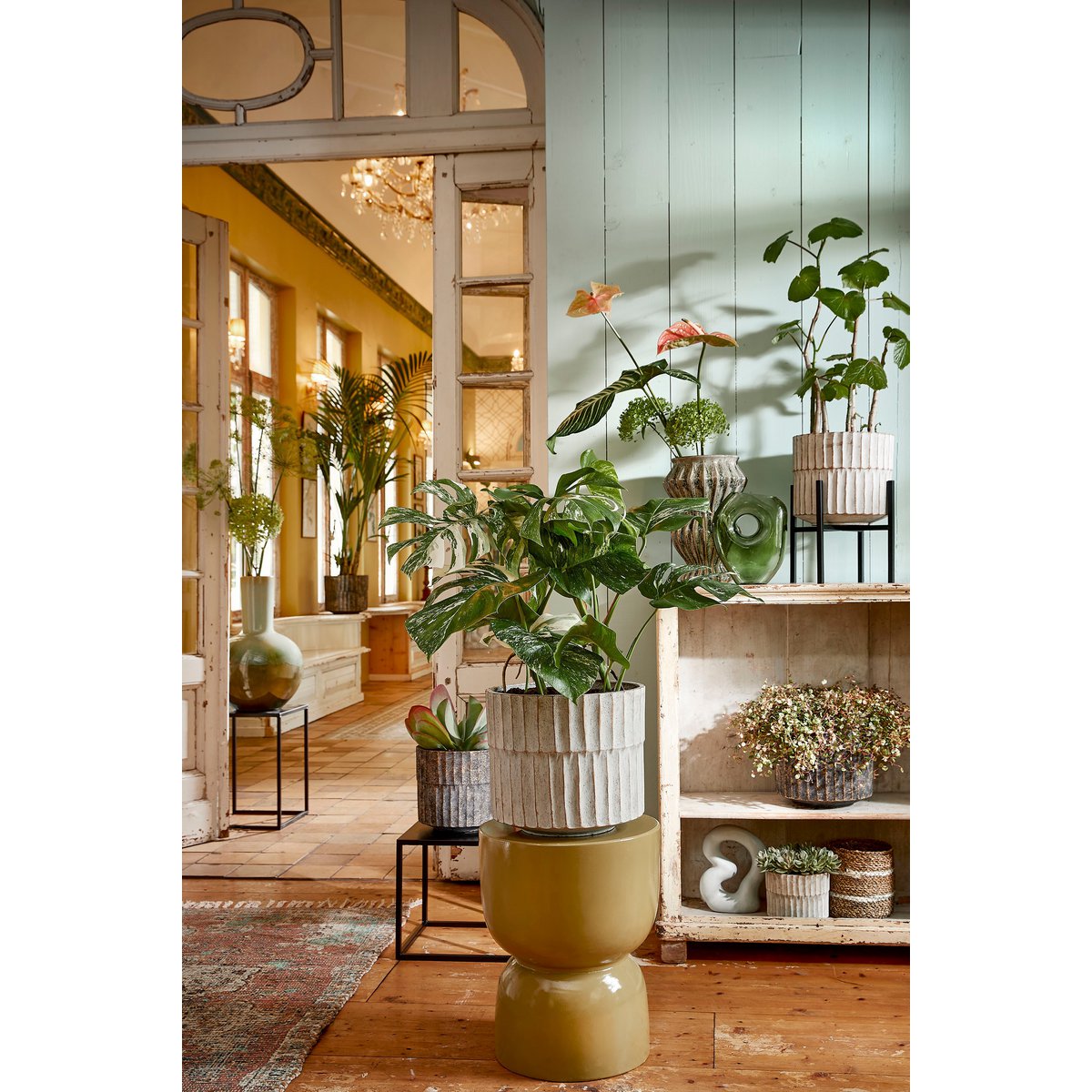 Glimmerdekorationen – Ascot Pflanzenständer – L24 x B24 x H25 cm – Metall – Schwarz