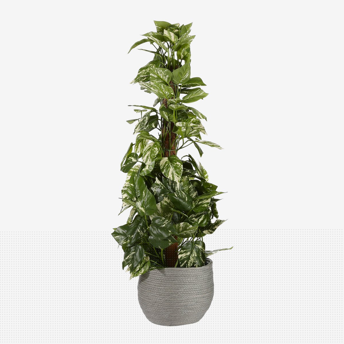 Glimmerdekorationen – Jorck-Pflanzkorb – 3er-Set – H24 x Ø26 cm – Papier – Grau