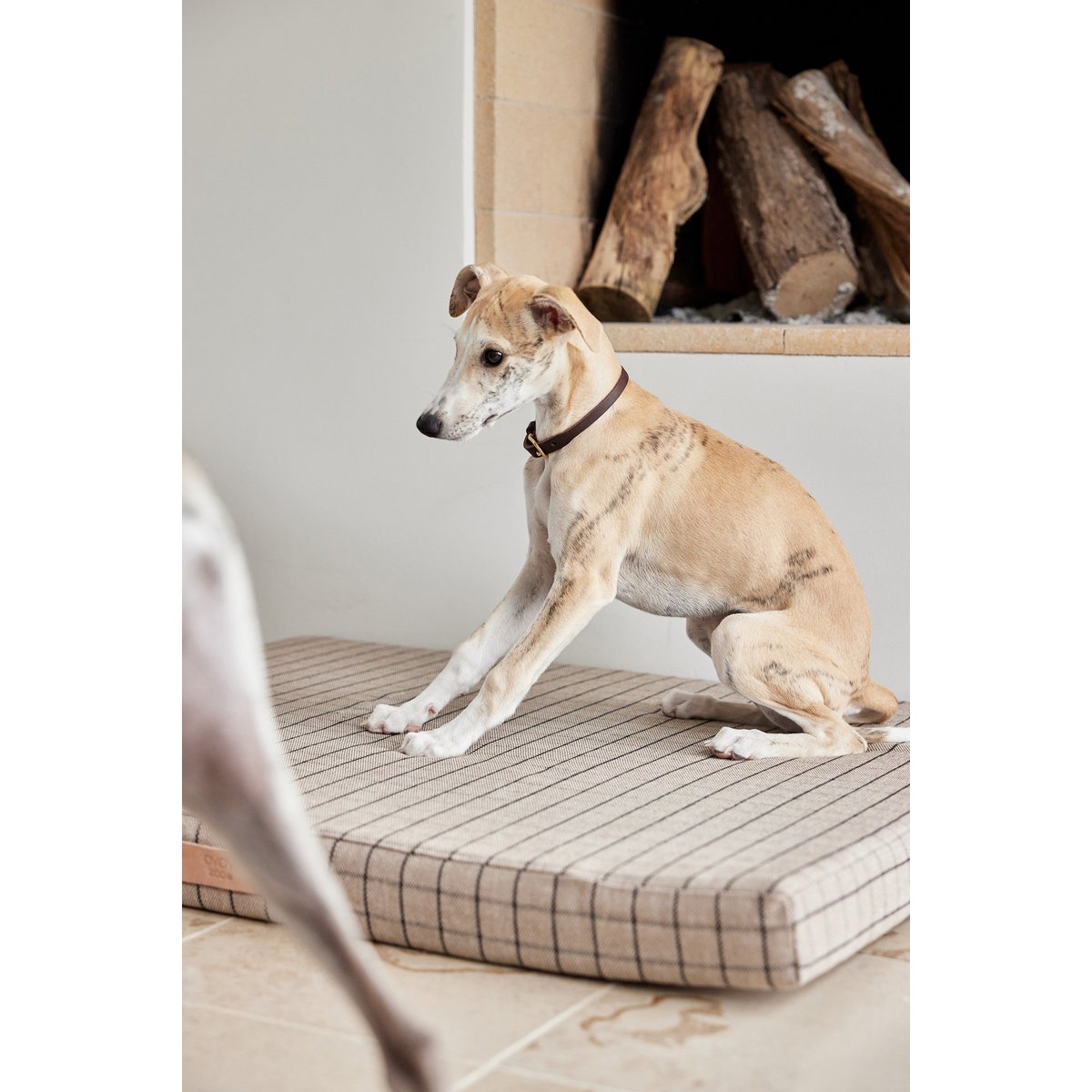 OYOY – Robin-Hundehalsband – extra groß