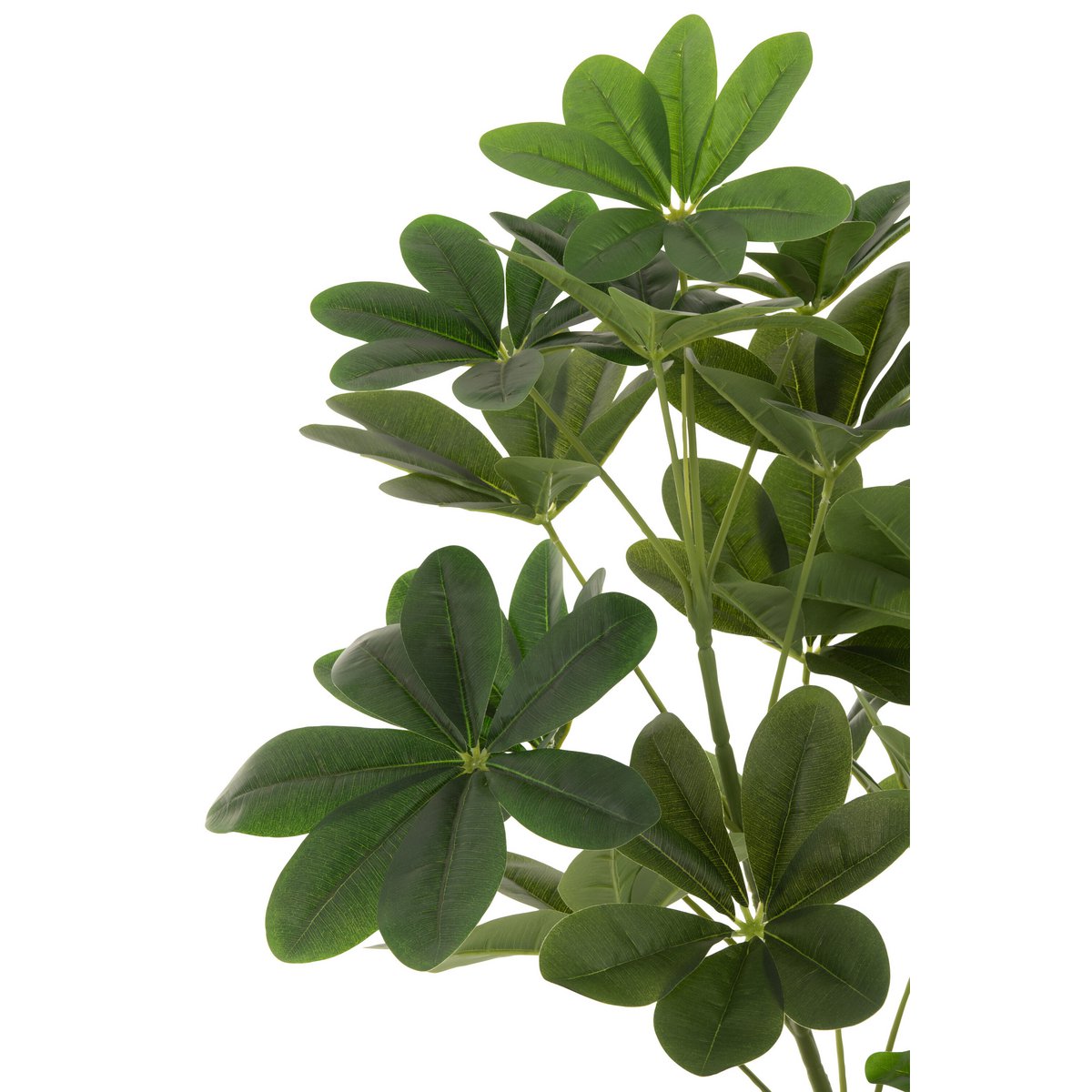 J-Line - Geldbaum im Topf, Kunststoff, Grün, groß