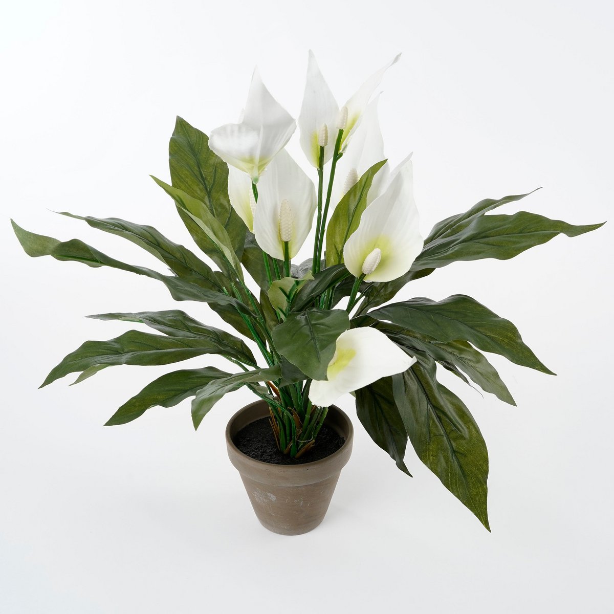 Glimmerdekorationen – Künstliche Pflanze Spathiphyllum im Blumentopf Stan – H50 x Ø40 cm – Weiß