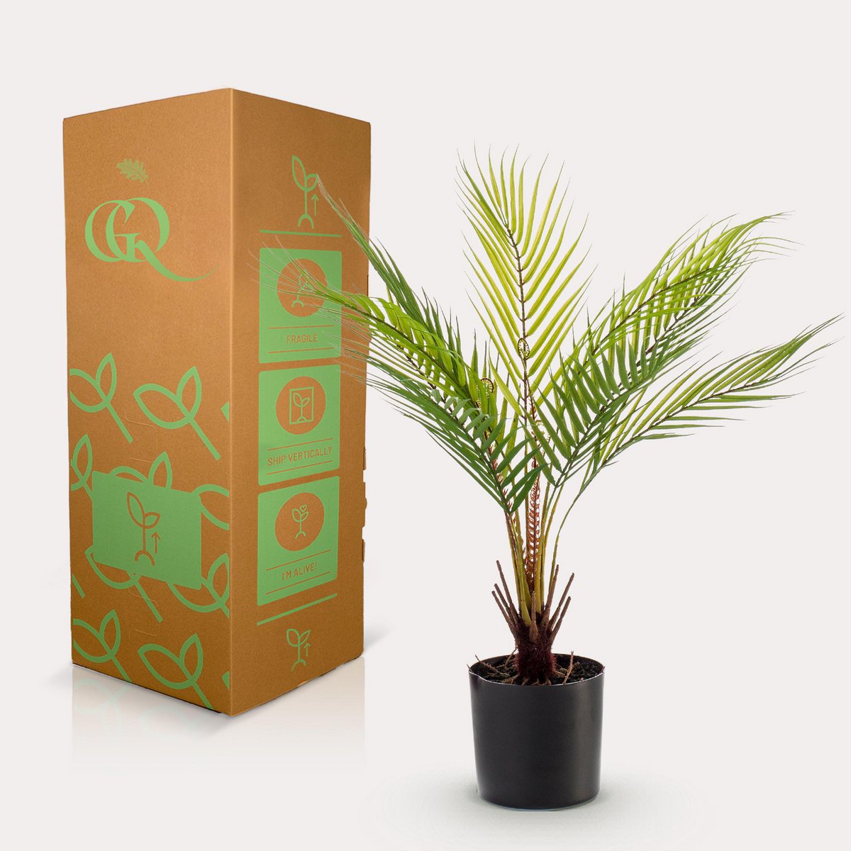 Green BoutiQ - Kunstplant - Chamaedorea - Bergpalm - 50 cm