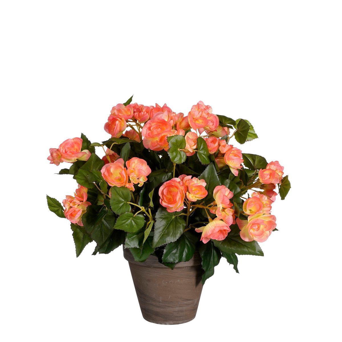 Mica Decorations - Begonia Kunstplant in Bloempot Stan - H37 x Ø36 cm - Zalmroze