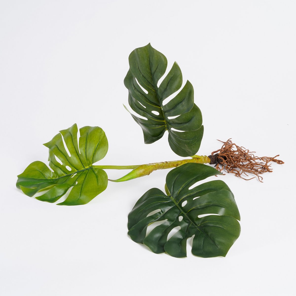 Mica Decorations - Monstera Kunstplant - L12 x B21 x H54 cm - Groen