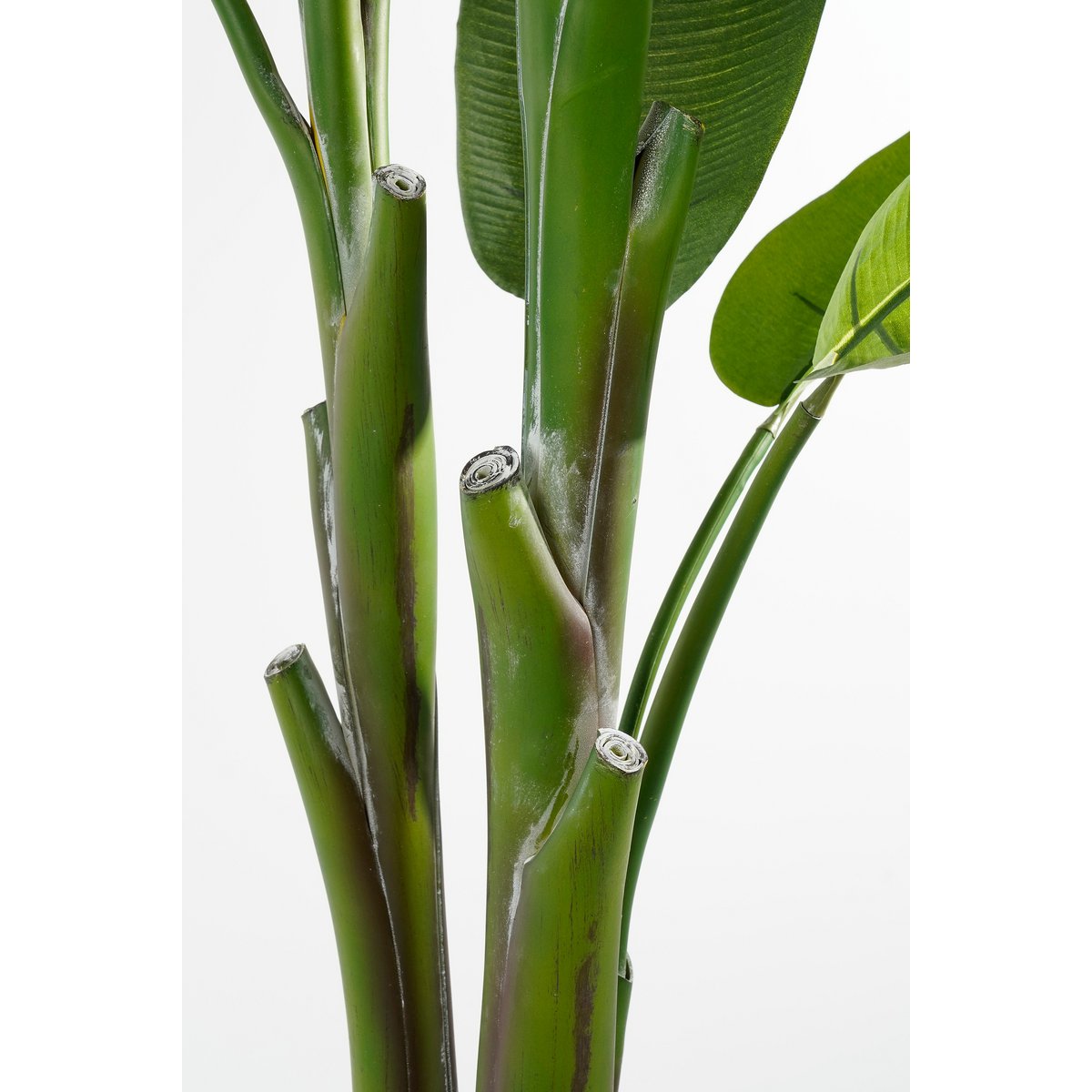 Mica Decorations - Heliconia Kunstplant - H175 x Ø140 cm - Groen