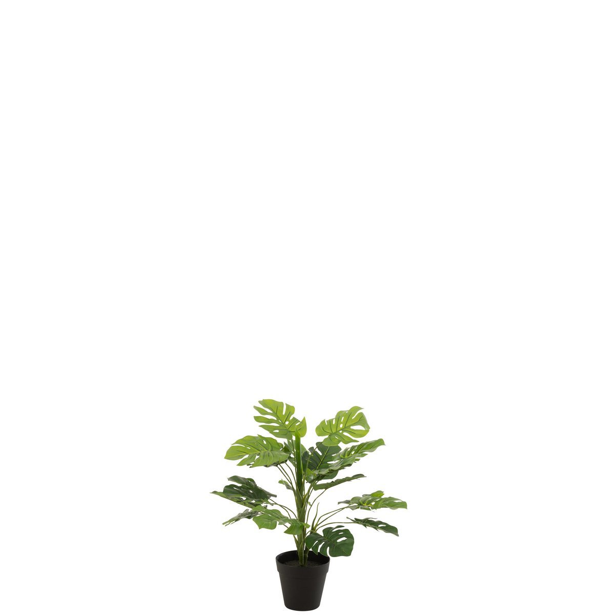 J-Line - Philodendron In Pot Plastic Groen Small