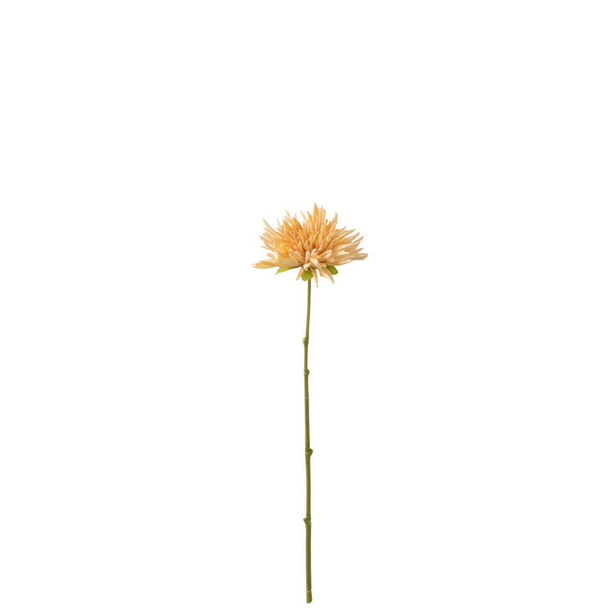 J-Line - Chrysant Mini Plastic Licht Oranje