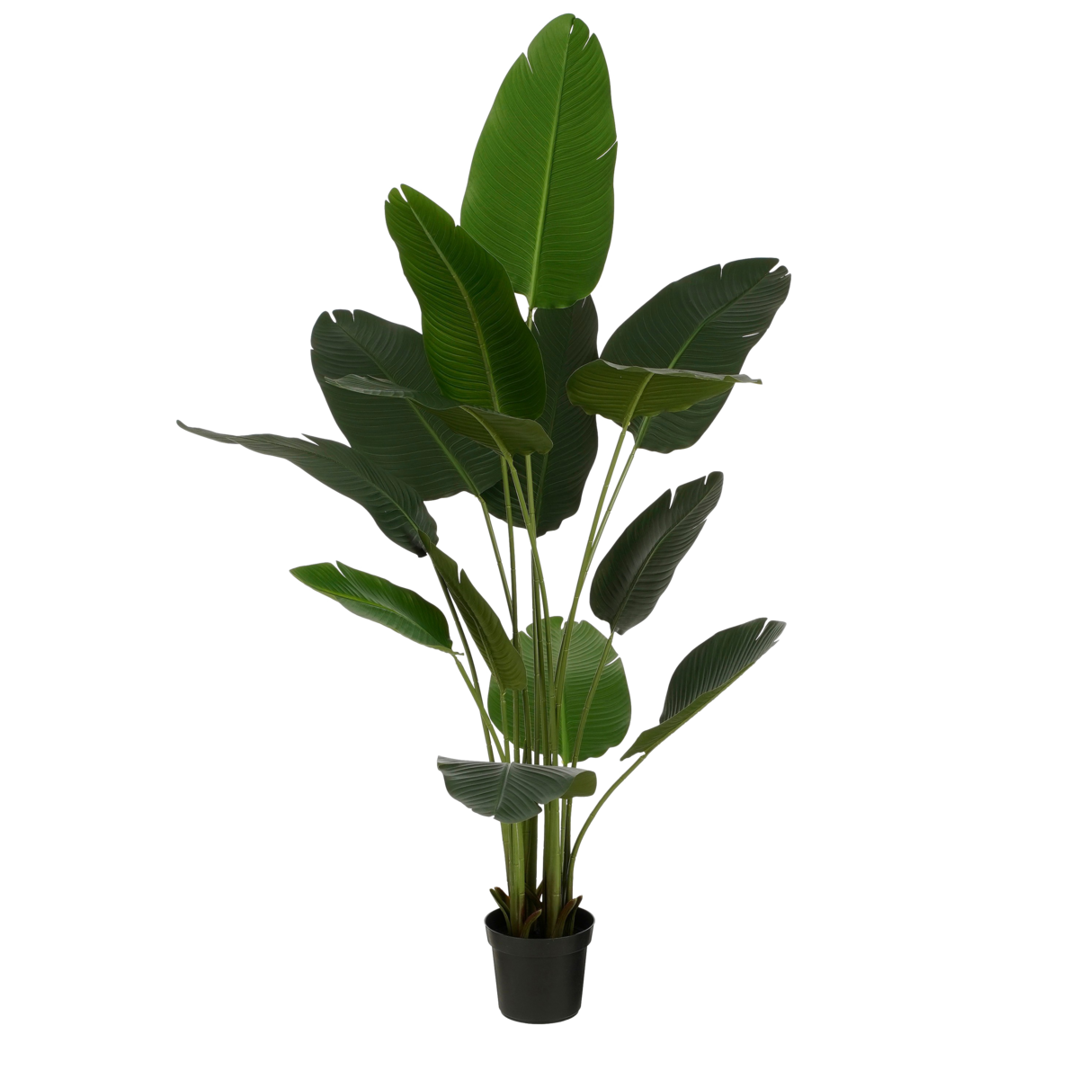 Mica Decorations - Kunstplant Bananenboom in Pot - H180 x Ø30 cm - Groen