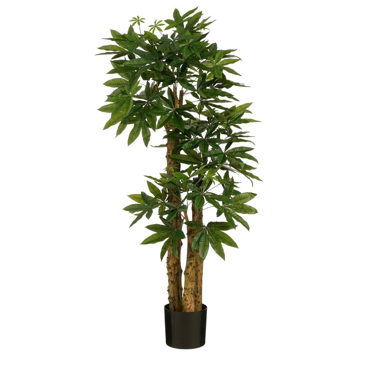 Mica Decorations - Pachira Kunstplant - H175 x Ø85 cm - Groen