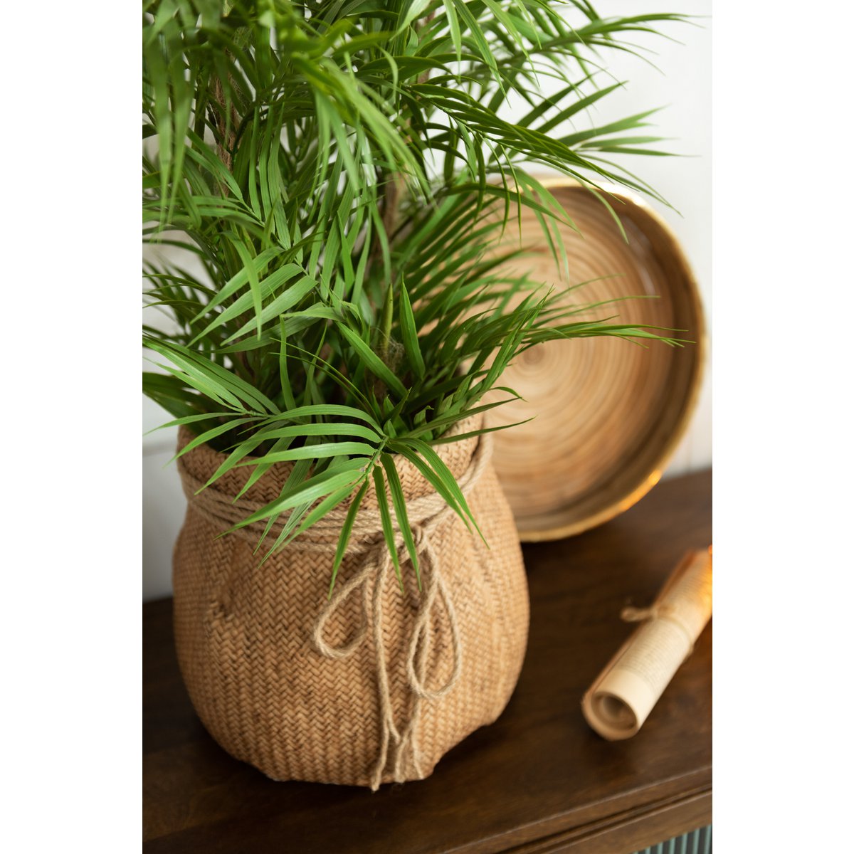 J-Line - Bergpalm In Pot Plastic Groen/Zwart Small