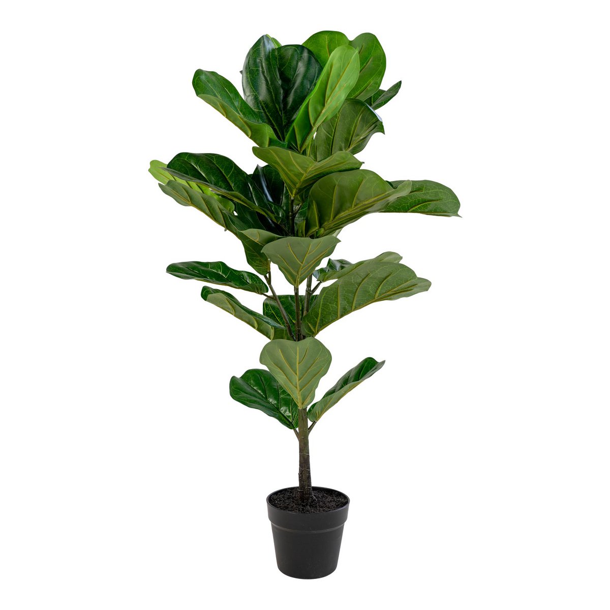 House Nordic - Fiddle Leaf Tree