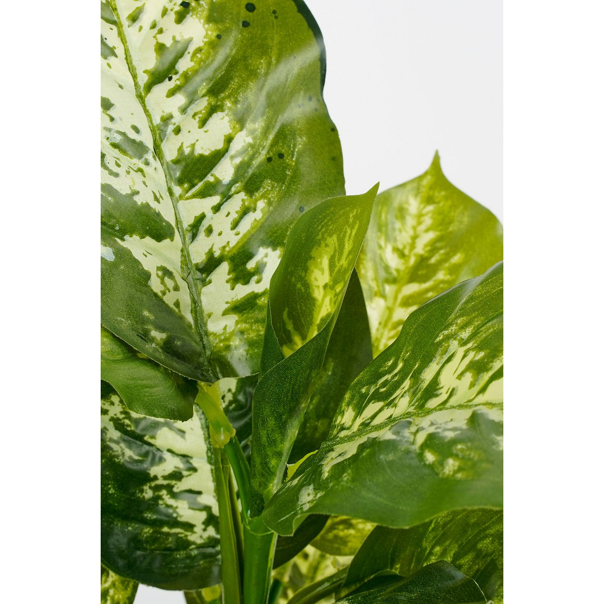 Mica Decorations - Dieffenbachia Kunstplant in Bloempot Stan - H40 x Ø30 cm - Groen