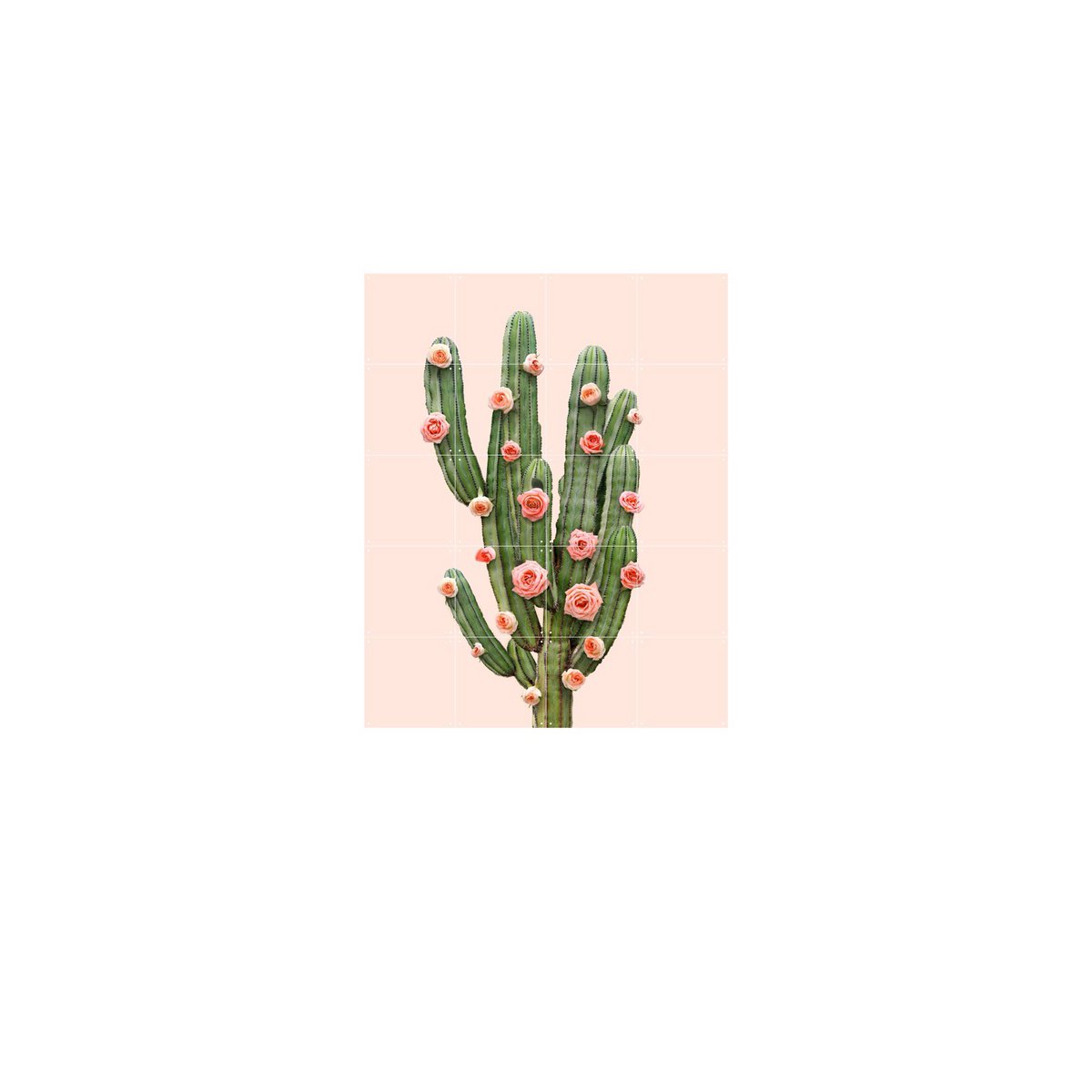 IXXI - Cactus & Ballonnen Wanddecoratie - Poster - Wanddecoratie - S - red, green